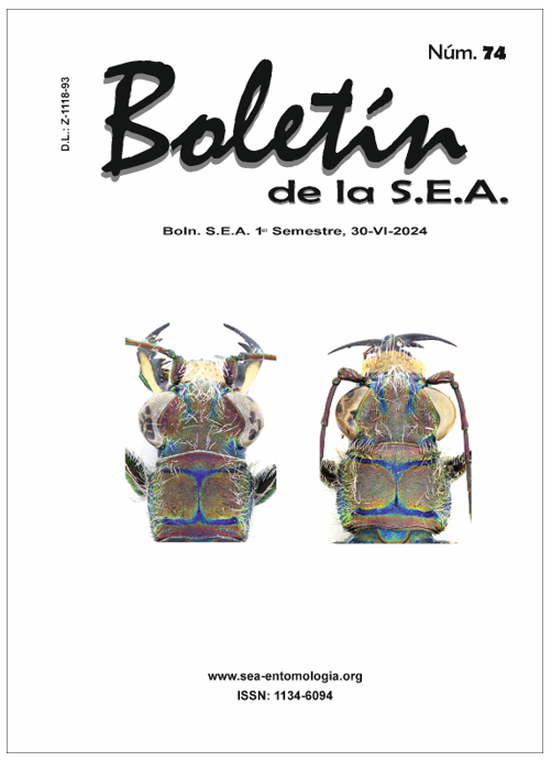 Boletín 74